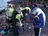 20111015_Abtauchen_019