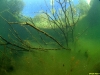 Sandersdorf_Unterwasser_by_Horst_Pastor_003