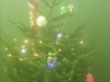 P1010117