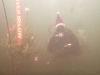 Weihnachtstauchen