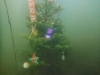 Weihnachtstauchen2017_15