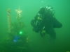 Weihnachtstauchen2017_17