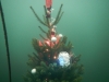 Weihnachtstauchen2018_37