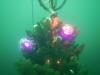 Weihnachtstauchen2018_38