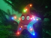 Weihnachtstauchen2018_39