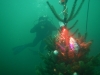 Weihnachtstauchen2018_41