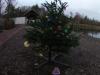 Weihnachtstauchen2023_1