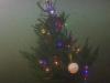 Weihnachtstauchen2023_6