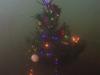 Weihnachtstauchen2023_7