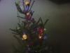 Weihnachtstauchen2023_8